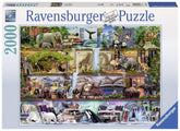 Ravensburger - Wild Kingdom Shelves 2000 Piece Puzzle